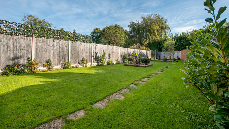 Empty backyard with sparse shrubs and gravel pathway