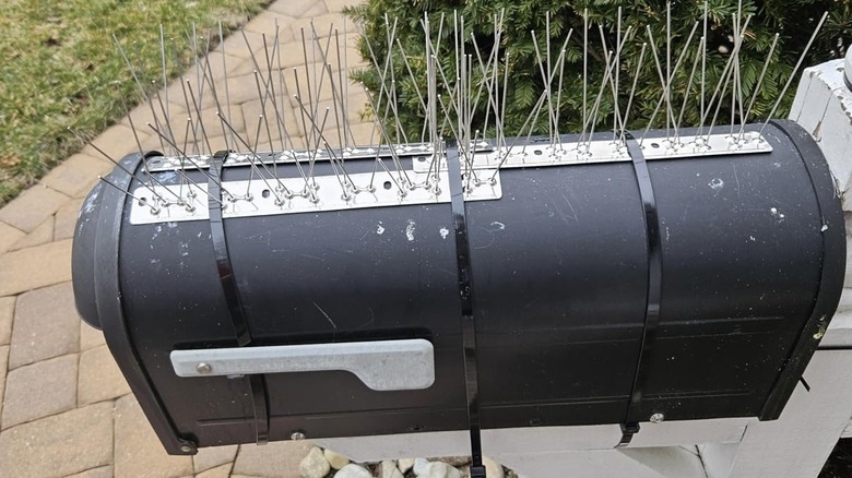Amazon customer using bird spikes on mailbox outside home