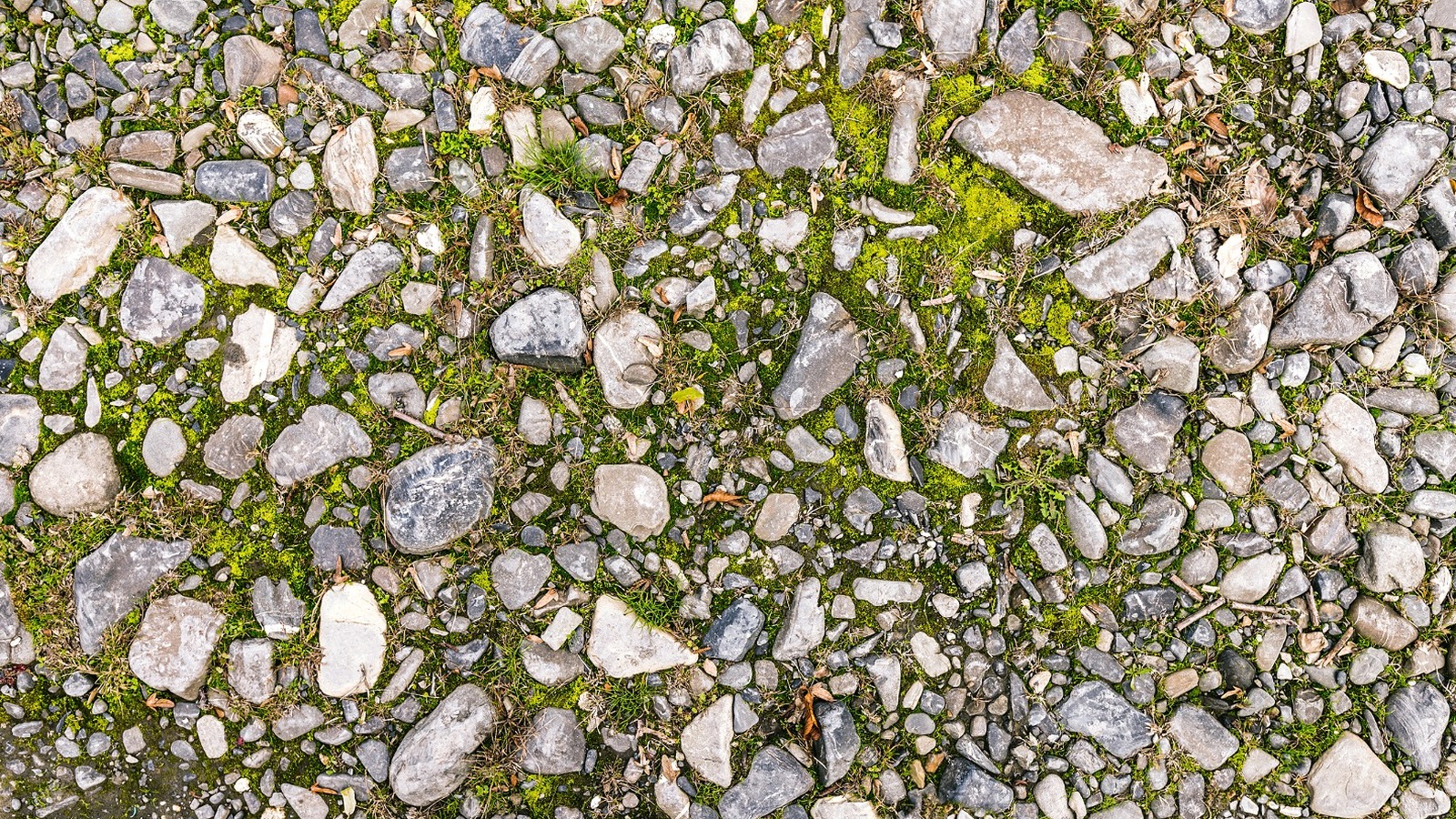 How To Get Rid Of Moss On Gravel Driveways, Walkways, And Patios?