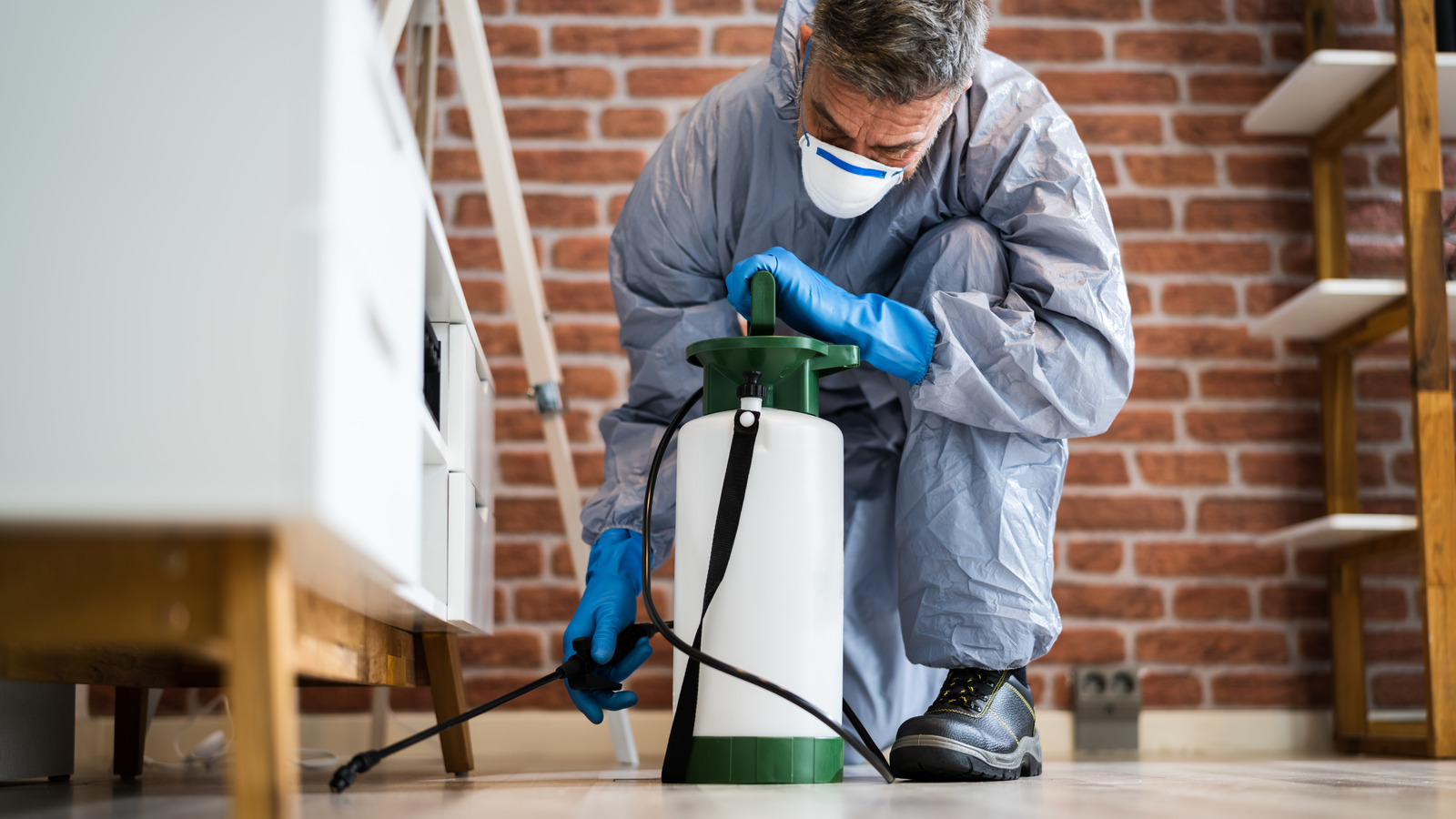 How To Get Rid Of Roaches Like The Professionals