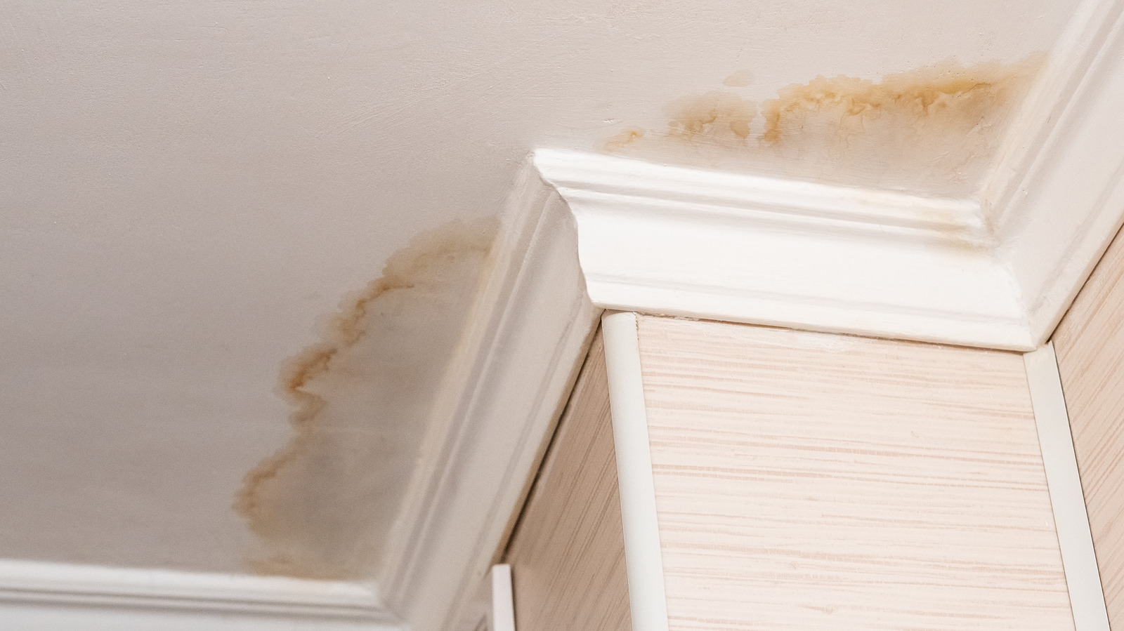 How to Remove Water Stains on Walls