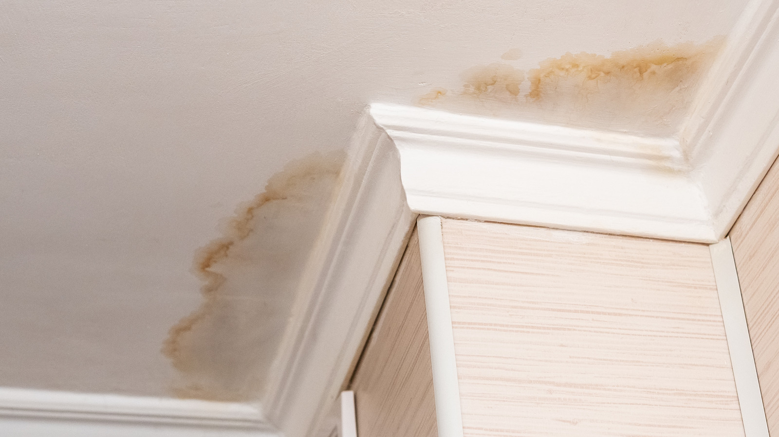 How To Get Rid Of Ugly Water Stains On Your Walls And Ceilings