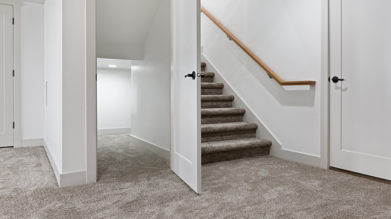 basement area