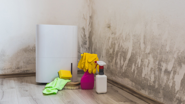 dehumidifier and cleaning supplies