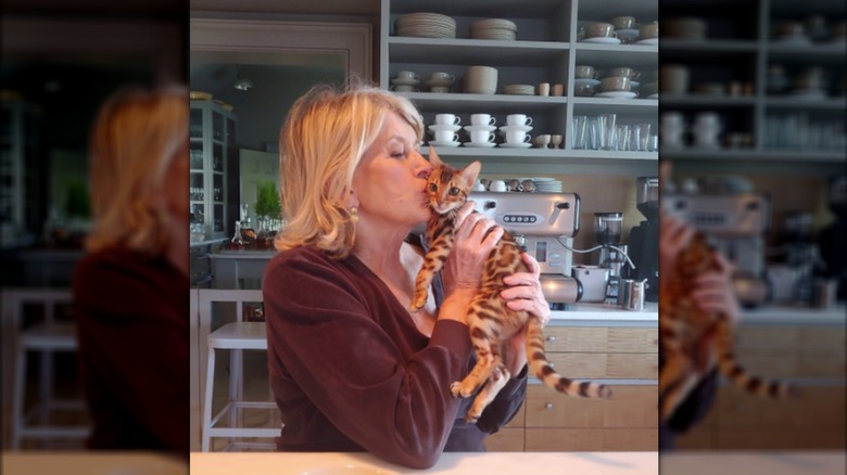 Martha Stewart giving a cat a kiss at her kitchen table.