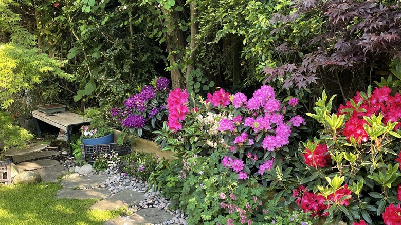 shade garden with a stone path and colorful flowers