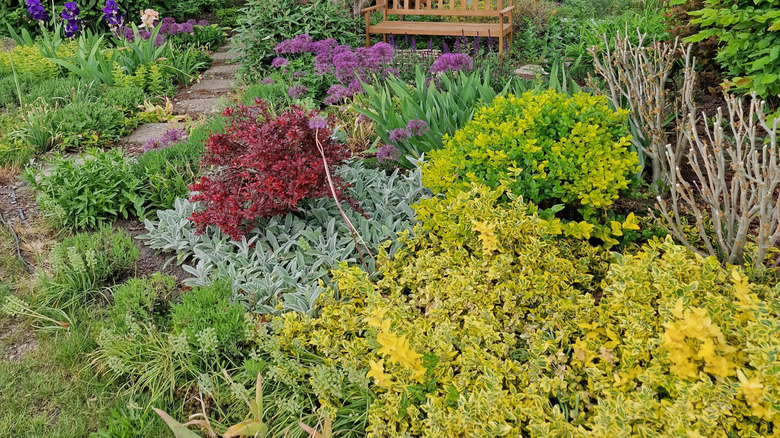 a slightly sloped shade garden with a bench and gazebo