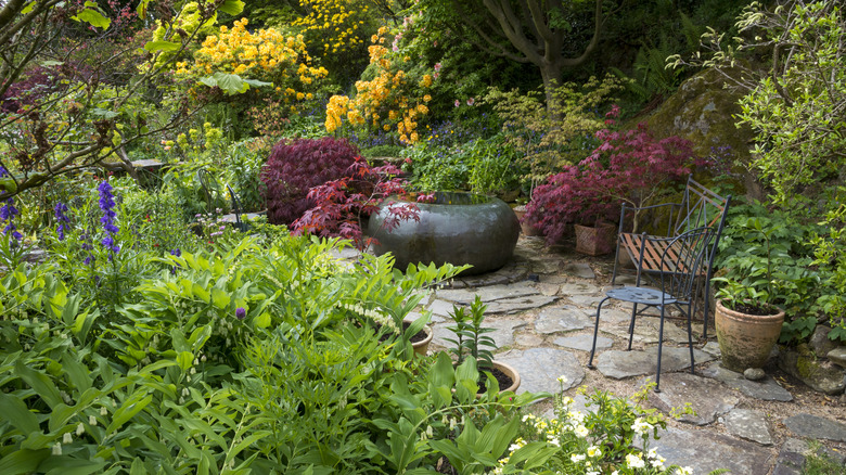 shade garden with colorful plants and a bench