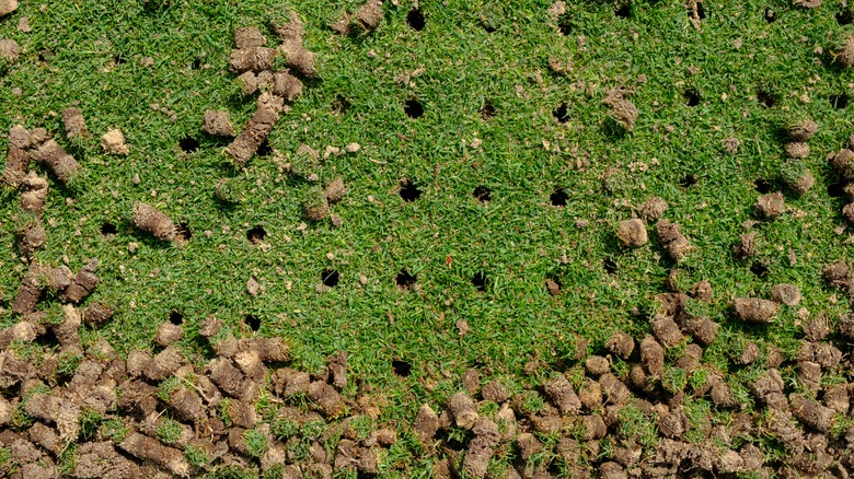 aerated soil