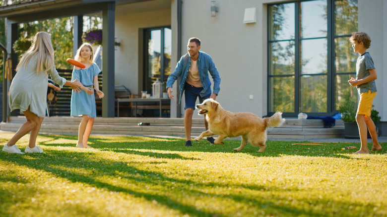 family playing in the yard