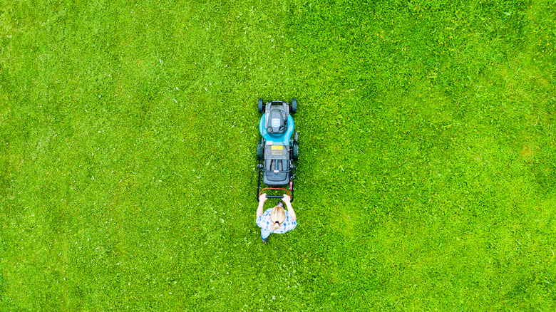 girl mowing lawn