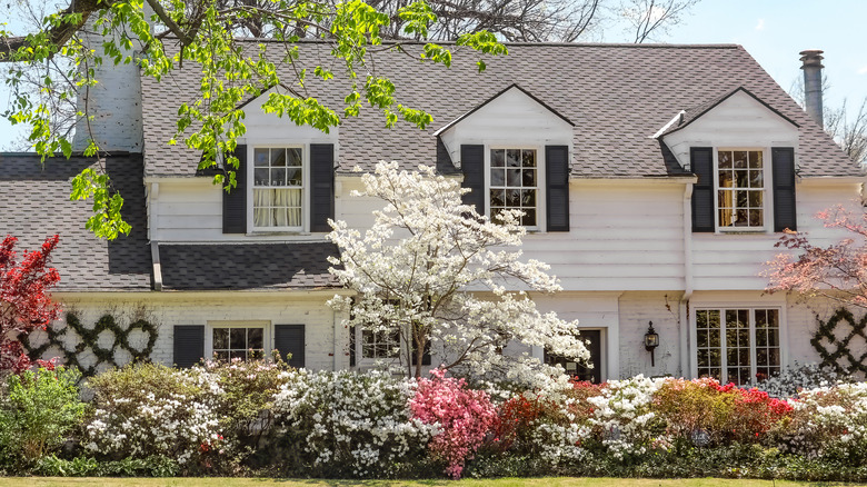 White and pink flowering dogwood trees