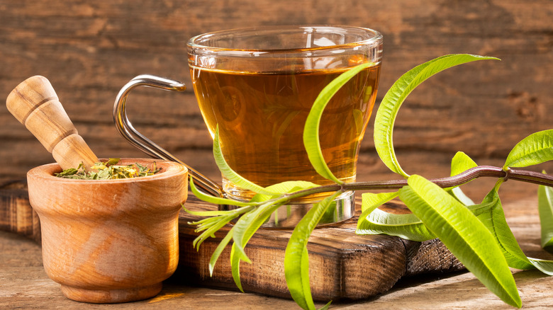 Verbena leaves and tea