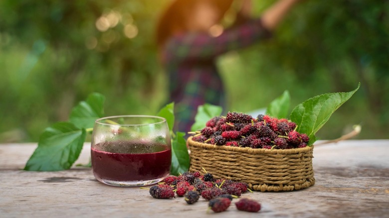 Basket of mulberry fruit