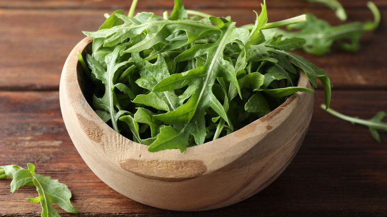 harvested arugula sits in a salad bowl