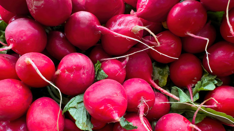 Close-up shot of radishes in a bunch