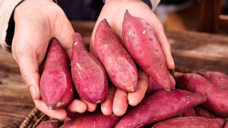 Someone presenting four sweet potatoes in their hands