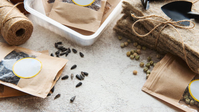 Various seeds sit waiting in storage