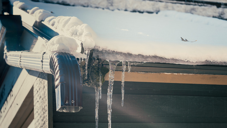 The gutters and water spout at the edge of a roof are covered in snow and icicles.