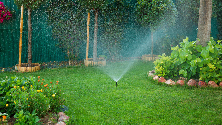 Green lawn with water sprinkler watering yard