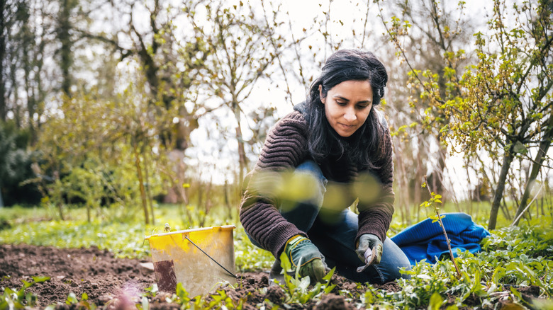 Woman looking at weeds in her garden