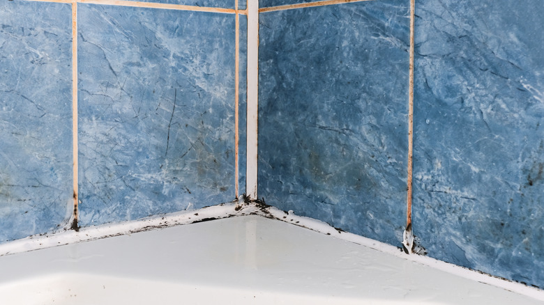 Mold on bathroom tile