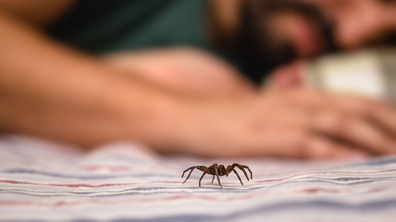A person sleeping in a bed with a spider crawling across the sheets