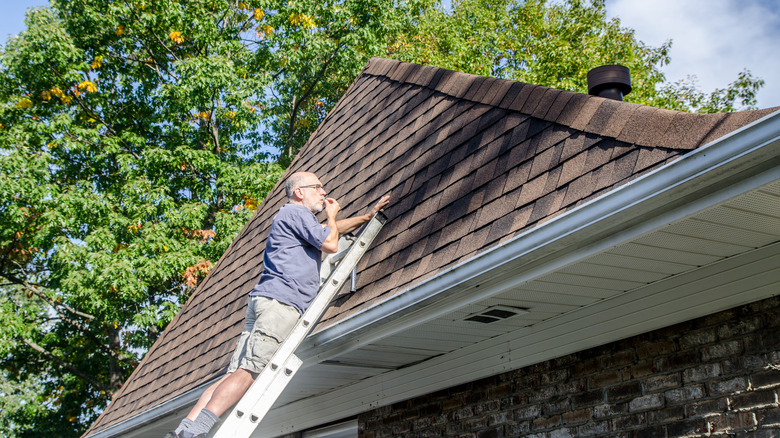 A man standing on a ladder inspecting the roof