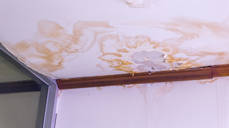 Brown stains and peeling paint on ceiling showing signs of water damage