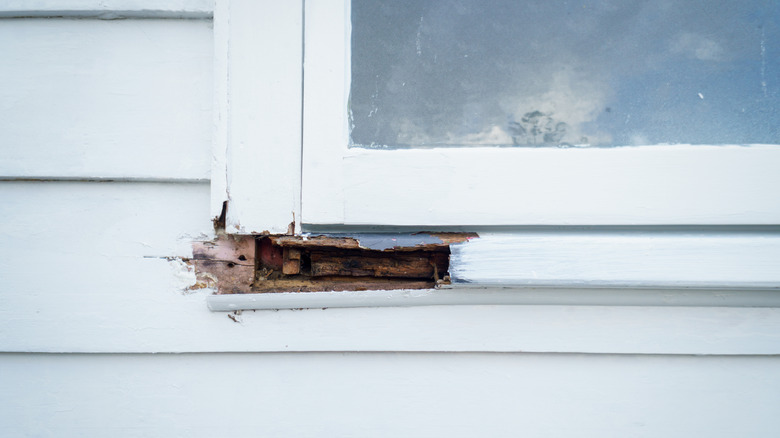 A rotted corner of an exterior window