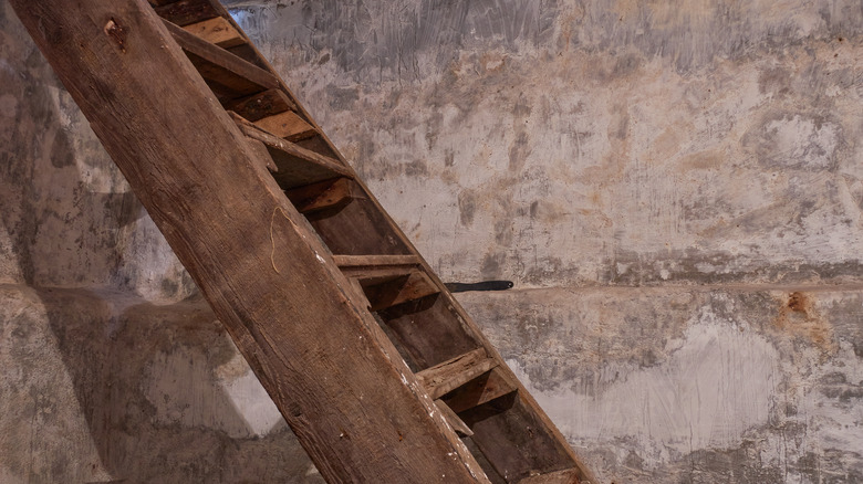 A rotting wooden staircase in a dank basement