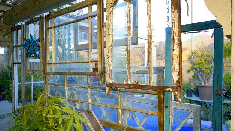 greenhouse made from old windows