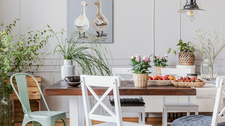 Grandmillenial kitchen with indoor plants