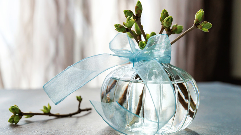 A delightful small round vase with a few green shoots and a blue organza ribbon