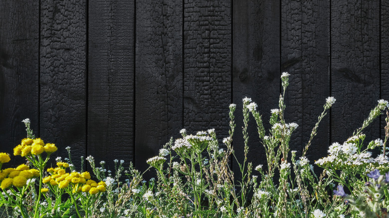 A dark Yakisugi wood building exterior with flowers in front of it