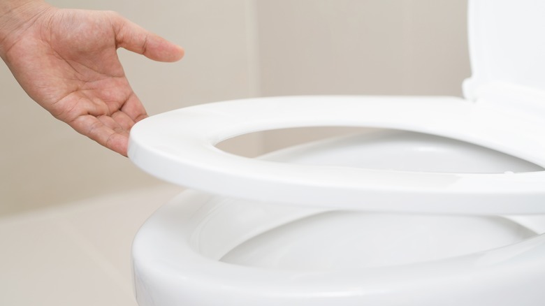 Hand lifting white toilet seat