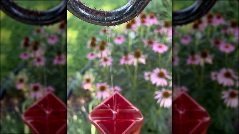 fishing line being used to fasten a hummingbird feeder to a pole