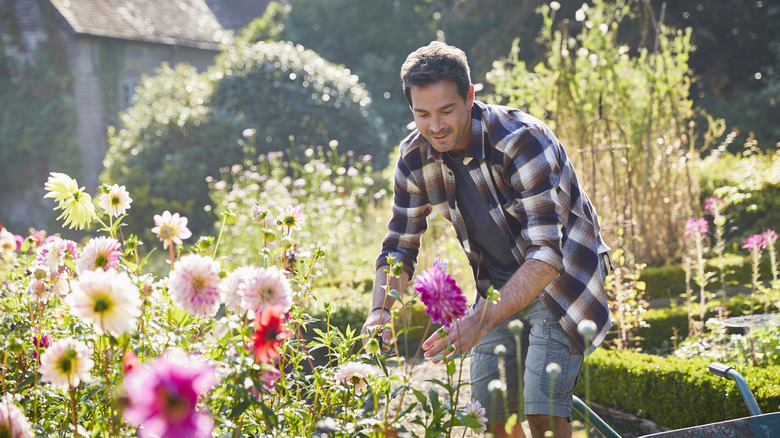 Man in garden
