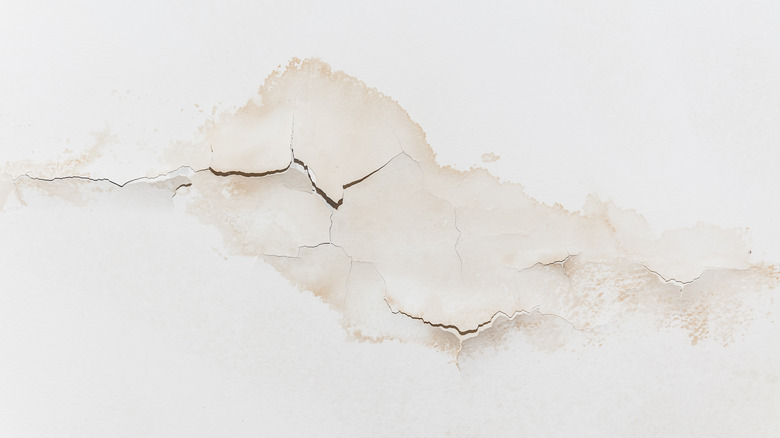 Water damage on wall