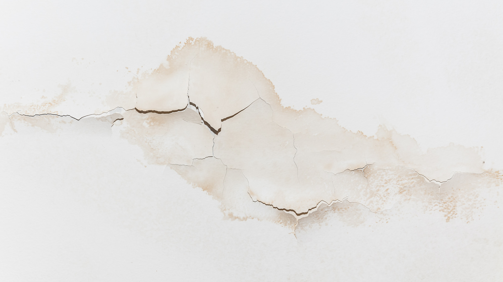 How To Keep Dangerous Mold Away When There's Water Damage On Your Walls