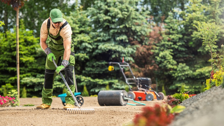 person taking care of grass