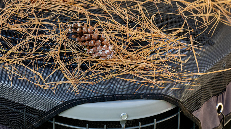 A protective mesh cover protects an outdoor AC unit from sticks and pinecones