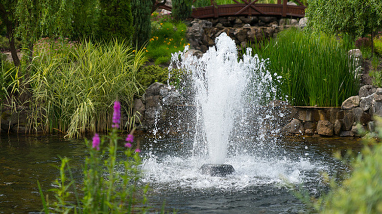 A fountain and pond in a beautiful garden landscape