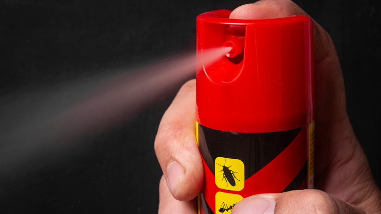 Close-up of a hand holding an anti-insect spray