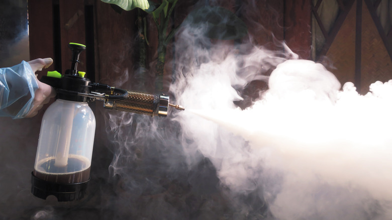 Close-up of a person spraying an anti-insect fog