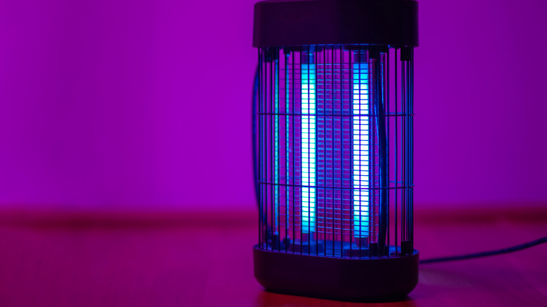 An electric bug zapper