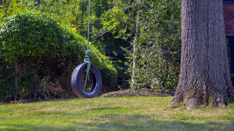 A tire swing hanging from a tree in a garden
