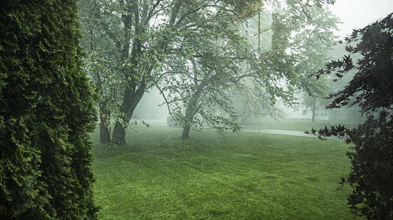Looking through a window (with another interior window reflected above - camera middle right top) at a drenching downpour torrential rainstorm