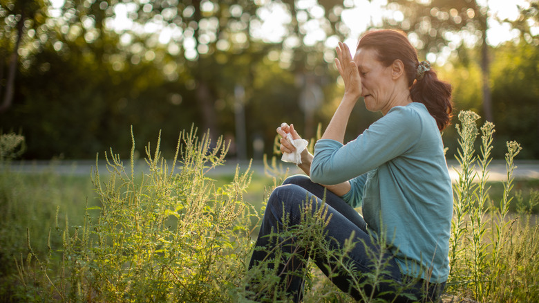 woman sitting in ragweed patch