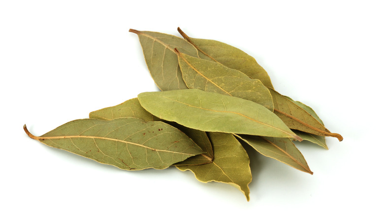several bay leaves white background